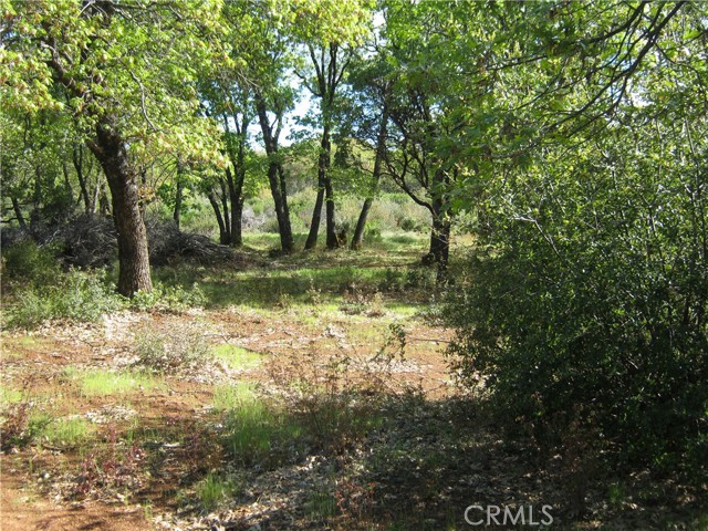 9070 S State Hwy 29, Lower Lake, CA 95457 Listing Photo  4