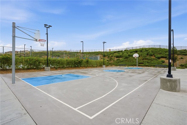 Image 50 of 55 For 26541 Scotch