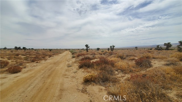 0 Vicinity Kingbird & 243rd St W, Rosamond, California 93560, ,Land,For Sale,0 Vicinity Kingbird & 243rd St W,CRSR23155108