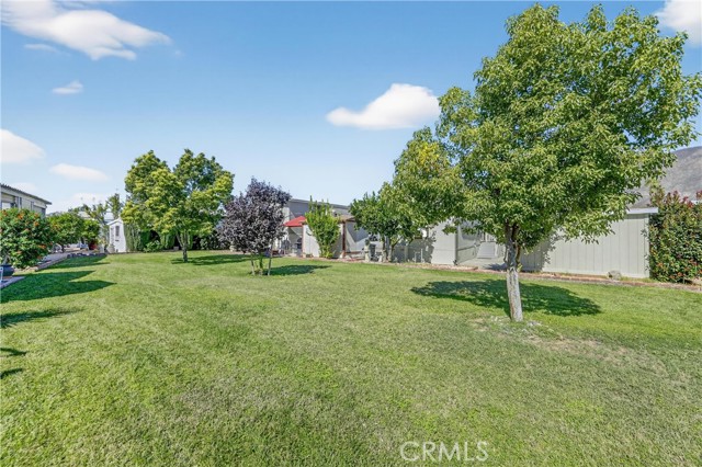 Detail Gallery Image 25 of 25 For 910 Deerwood, San Jacinto,  CA 92583 - 1 Beds | 1 Baths