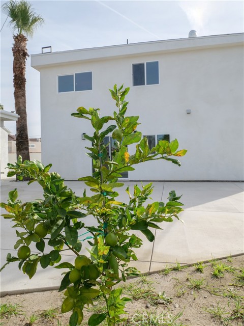 Detail Gallery Image 46 of 70 For 11615 Rincon, Sylmar,  CA 91342 - 3 Beds | 2 Baths