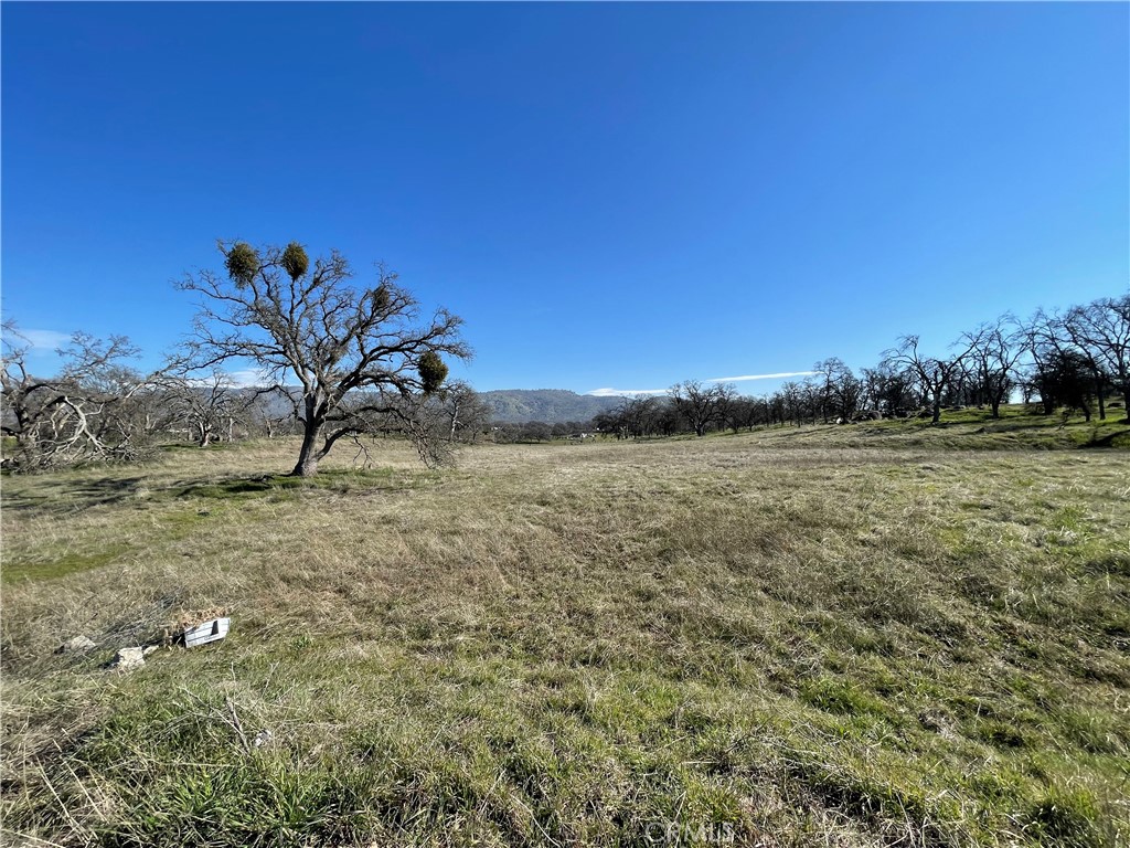 0 Tinkers Penny Lane, Catheys Valley, CA 95306