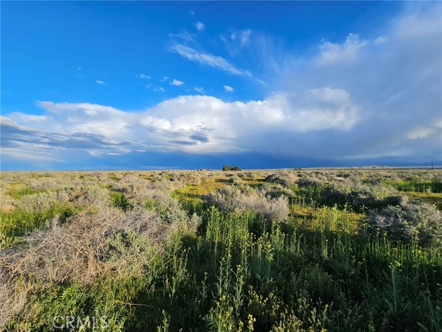 Detail Gallery Image 4 of 8 For 359 35931505005, Rosamond,  CA 93560 - – Beds | – Baths