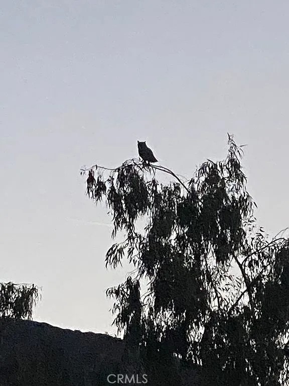 https://media.crmls.org/medias/11f83804-9a3e-40c5-9015-474774fe8ae0.jpg?preset=X-Large