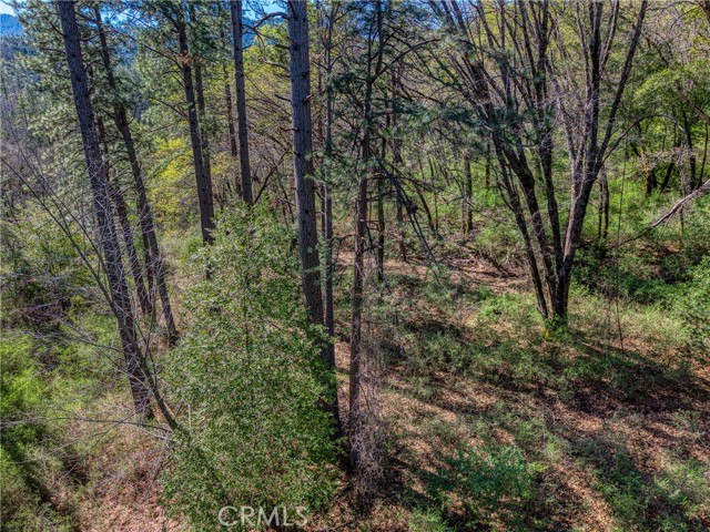 Detail Gallery Image 10 of 19 For 15347 Western Mine, Middletown,  CA 95461 - – Beds | – Baths