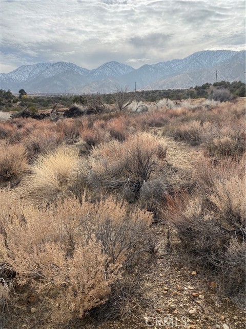 Detail Gallery Image 14 of 15 For 14 E Vac/Z14e Lepage Ranch Rd/Vic,, –,  CA 93543 - – Beds | – Baths