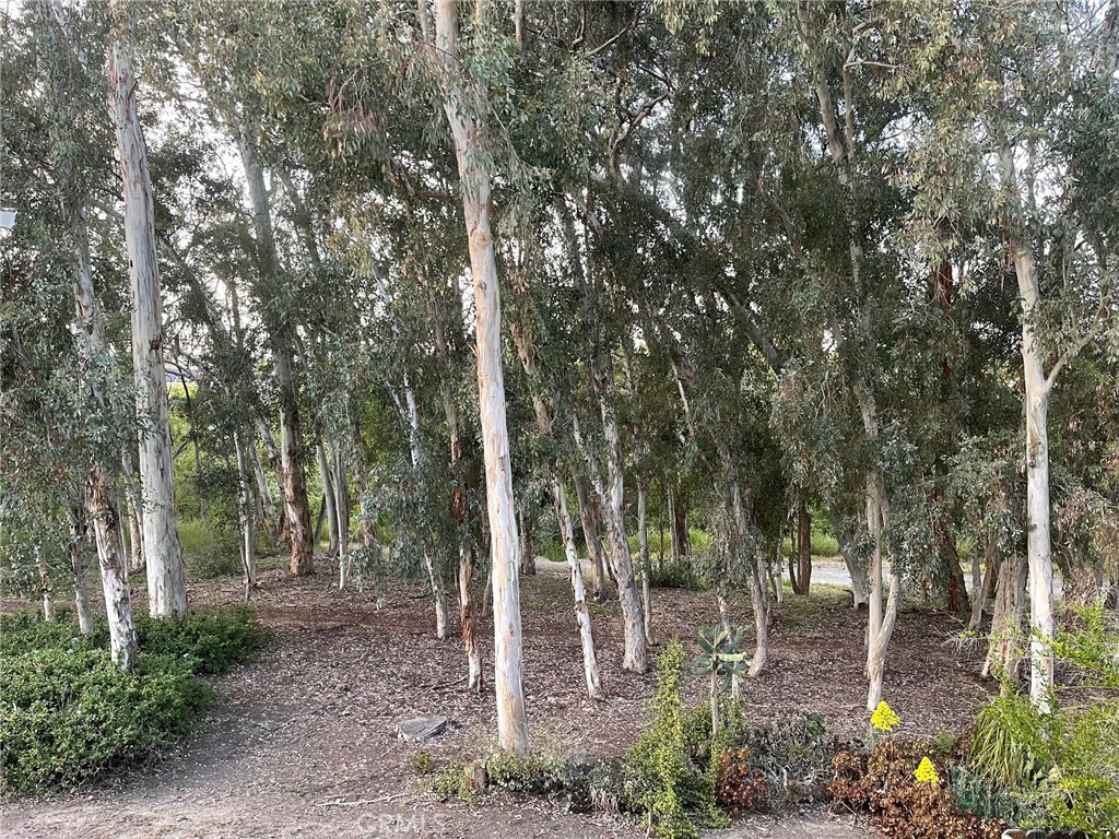 https://media.crmls.org/medias/12047616-b412-4e5d-9d96-d8239f0bb226.jpg?preset=X-Large