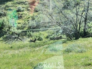 https://media.crmls.org/medias/120c1c20-5fe8-4642-83e8-5f59679c238a.jpg?preset=X-Large