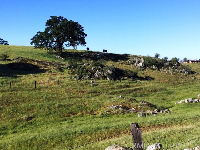 Detail Gallery Image 3 of 9 For 0 103.8 Ac Highway 41, Madera,  CA 93636 - – Beds | – Baths