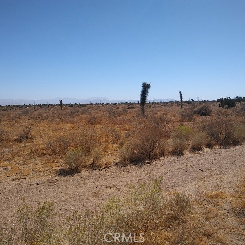 10611 Yucca Terrace, Hesperia, CA, 92344 10611 Yucca Terrace, Hesperia, CA, 92344