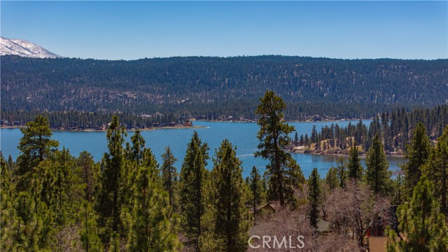 Detail Gallery Image 2 of 42 For 39563 Raccoon Dr, Fawnskin,  CA 92333 - 2 Beds | 2 Baths