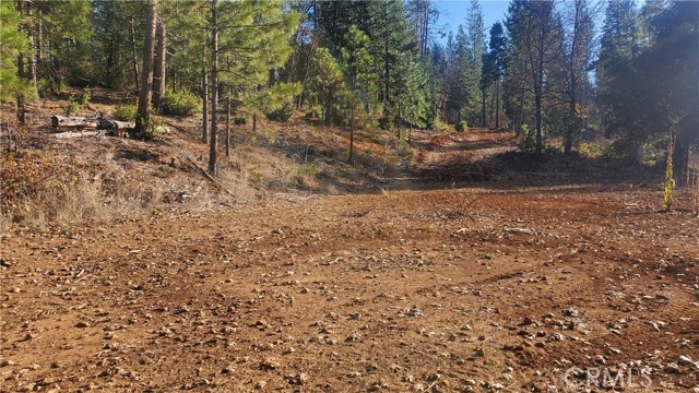 1 Coutolenc Road, Magalia, California 95954, ,Land,For Sale,1 Coutolenc Road,CRSN23217034