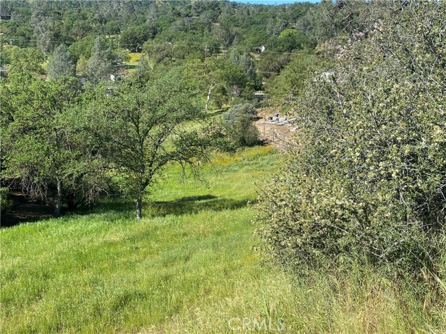 Detail Gallery Image 4 of 8 For 17 Titan Way Way, Coarsegold,  CA 93614 - – Beds | – Baths