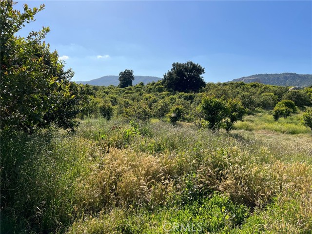 MLS# SW23081604