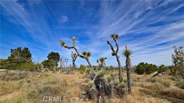 Detail Gallery Image 32 of 49 For 0 103rd St East Vicinity W14, –,  CA 93543 - – Beds | – Baths