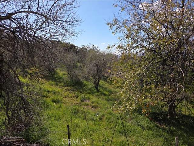 Detail Gallery Image 5 of 24 For 59995 Granite Gulley, Anza,  CA 92539 - 2 Beds | 2 Baths