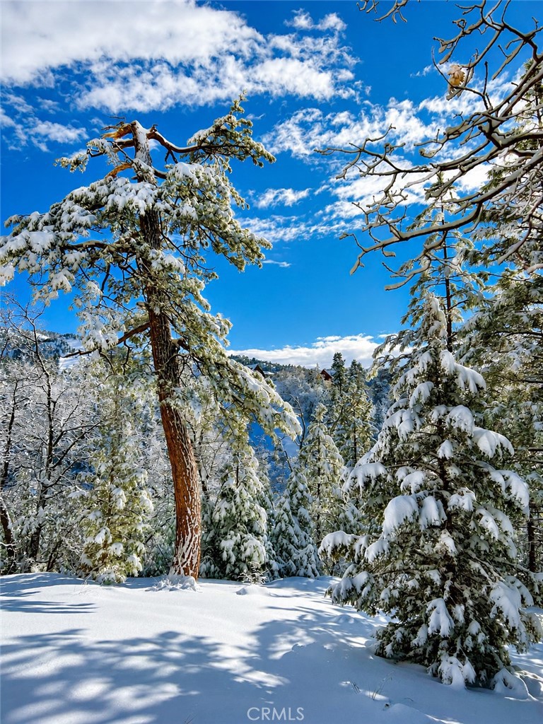 https://media.crmls.org/medias/1222e331-b061-4cff-ace2-2b4a4b08189b.jpg?preset=X-Large