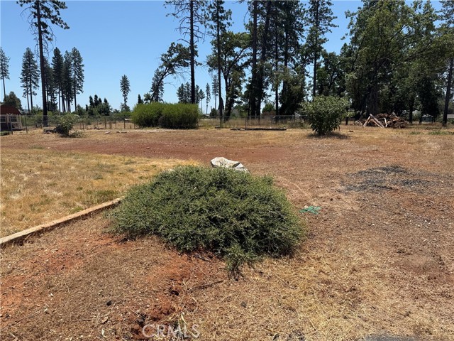 1866 Conifer Drive, Paradise CA: https://media.crmls.org/medias/12291df3-27cd-41f5-8aee-6ea1bd1db707.jpg