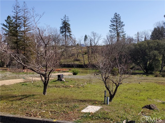 5232 Trafalgar Sq, Paradise, California 95969, ,Land,For Sale,5232 Trafalgar Sq,CRSN23043872