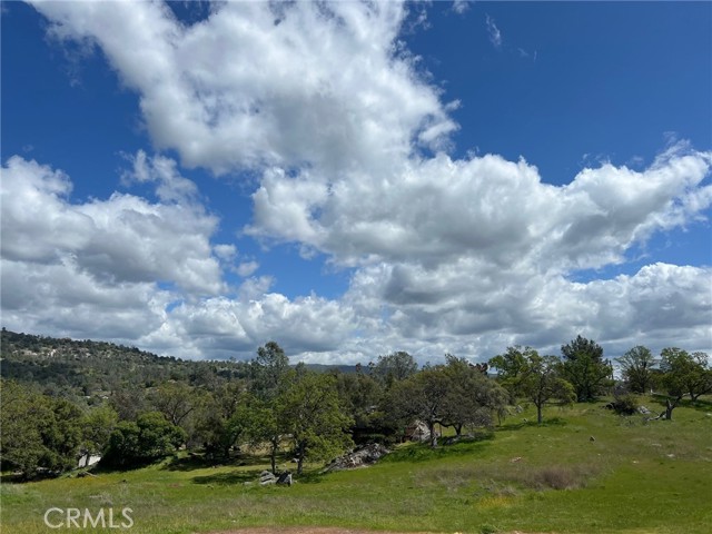 Detail Gallery Image 52 of 56 For 28891 Crystal Springs Ct, Coarsegold,  CA 93614 - 4 Beds | 2 Baths