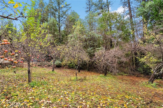 Detail Gallery Image 53 of 68 For 18774 Challenge Cut off Rd, Forbestown,  CA 95941 - 5 Beds | 3 Baths