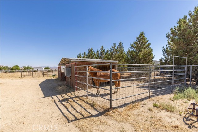 Detail Gallery Image 39 of 41 For 6710 Dogwood Ave, Rosamond,  CA 93560 - 5 Beds | 2/1 Baths