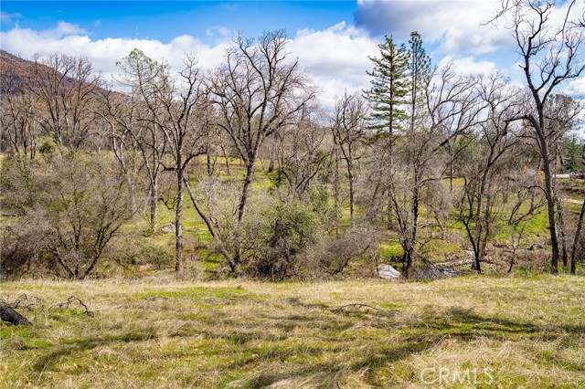 Detail Gallery Image 43 of 63 For 6096 Carter Rd, Mariposa,  CA 95338 - 3 Beds | 2 Baths
