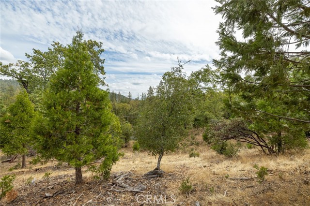 Detail Gallery Image 40 of 55 For 26 Timberview, North Fork,  CA 93643 - – Beds | – Baths