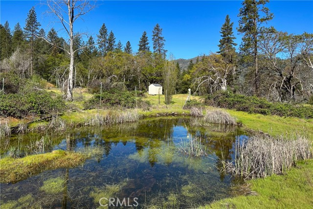 Detail Gallery Image 21 of 35 For 1271 Lake, –,  CA 96048 - – Beds | – Baths