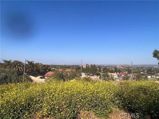 180 degree views