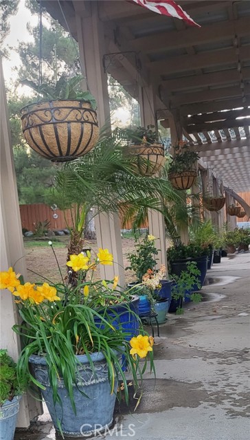 30921 Sarabia Street, Lake Elsinore CA: https://media.crmls.org/medias/12547a3b-2f9e-43b6-957c-f07e4c5ccbbb.jpg