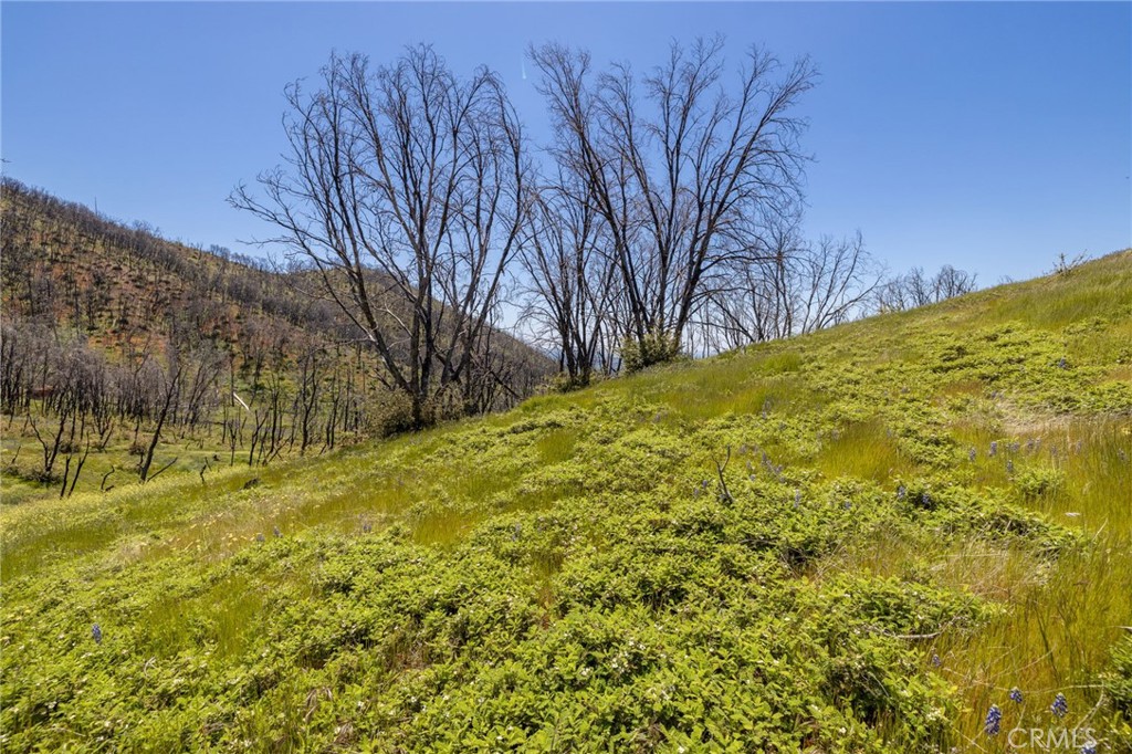 MLS #MP25088475 image #64
