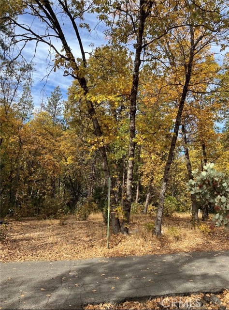 Detail Gallery Image 4 of 8 For 54692 Bluegill, Bass Lake,  CA 93604 - – Beds | – Baths