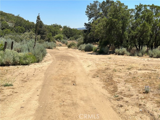 36725 Penny Lane, Anza, California 92539, ,Land,For Sale,36725 Penny Lane,CRSW24013749