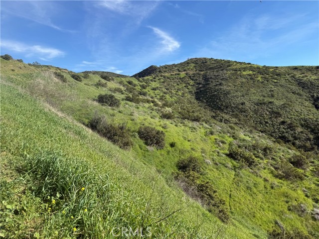 Detail Gallery Image 14 of 21 For 28292 Williams Canyon Rd, Silverado,  CA 92676 - – Beds | – Baths