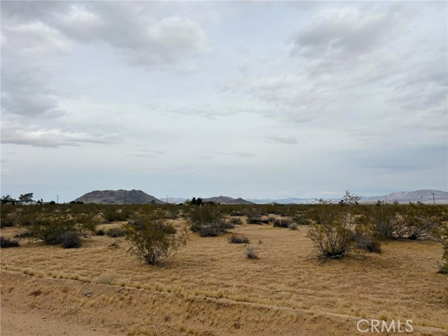 Front Image Thumbnail for CRSR26063639