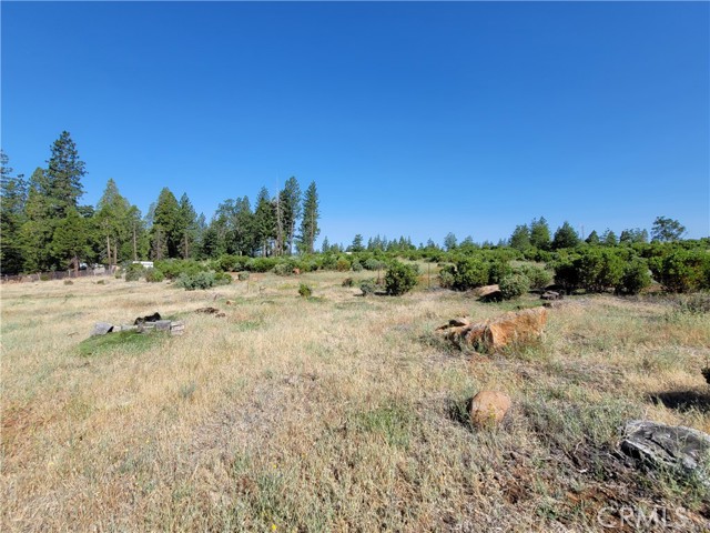 33150 Forward Road, Manton, California 96059, 1 Bedroom Bedrooms, ,1 BathroomBathrooms,Residential,For Sale,33150 Forward Road,CRSN22152094