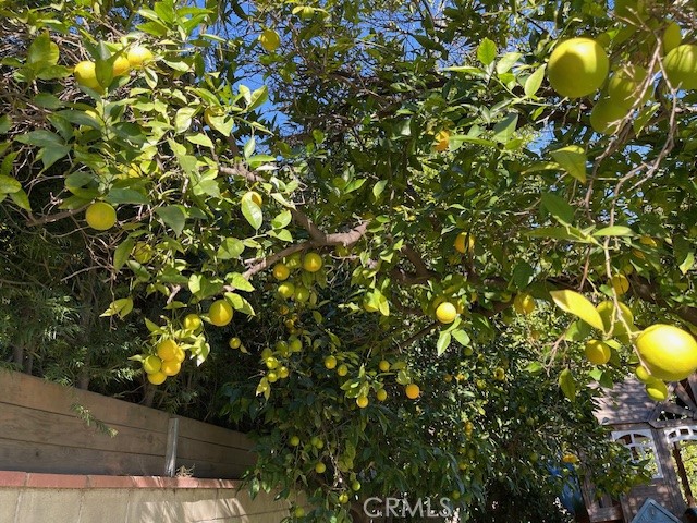 Detail Gallery Image 30 of 31 For 12619 Tiara St., Valley Village,  CA 91607 - 3 Beds | 1/1 Baths