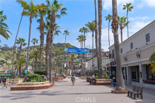 Detail Gallery Image 36 of 44 For 358 Metropole Ave, Avalon,  CA 90704 - 5 Beds | 4 Baths