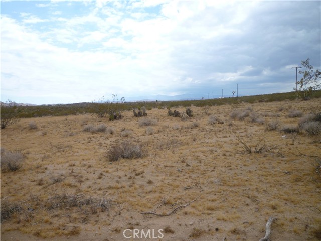 Detail Gallery Image 3 of 4 For 62397 Sunny Sands Dr, Joshua Tree,  CA 92252 - – Beds | – Baths