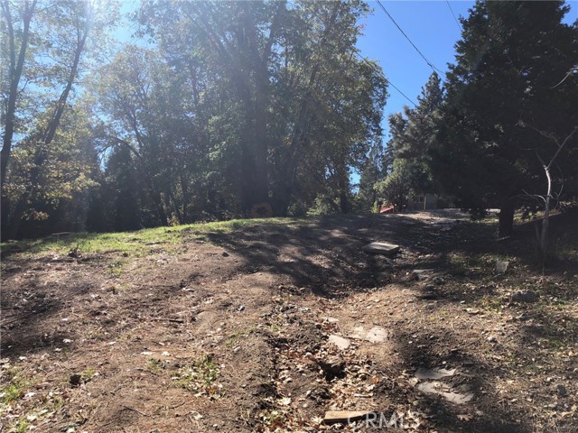 29151 Lyon, Cedar Glen, CA, 92321 29151 Lyon, Cedar Glen, CA, 92321