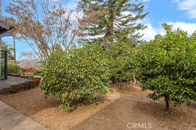 Detail Gallery Image 33 of 39 For 579 Pheasant Valley Ct, Fallbrook,  CA 92028 - 3 Beds | 2/1 Baths