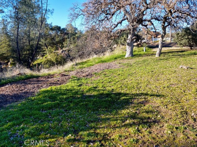 Detail Gallery Image 2 of 3 For 0 Lot 1220 Corral Dr, Coarsegold,  CA 93614 - – Beds | – Baths