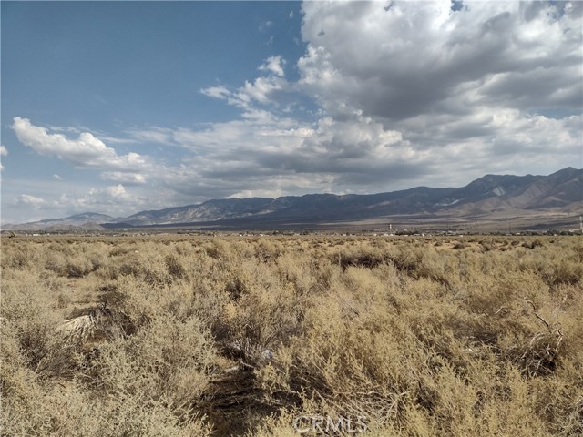 Detail Gallery Image 11 of 19 For 317 Highway 18, Lucerne Valley,  CA 92356 - – Beds | – Baths