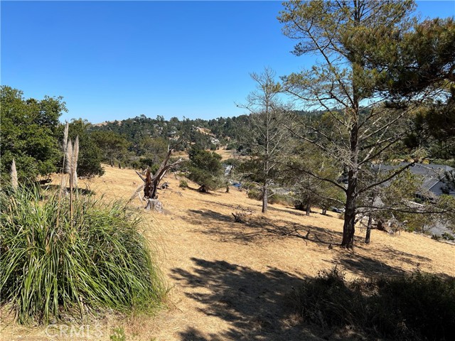 4925 Grove Street, Cambria, California 93428, ,Land,For Sale,4925 Grove Street,CRSC23001880