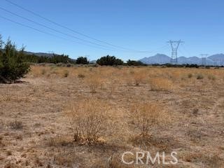 13025 Stuveling, Oak Hills CA: https://media.crmls.org/medias/12a81a8b-2395-426f-a876-fa9f88af6227.jpg