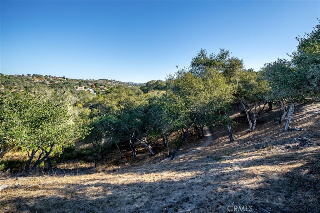 MLS #SC26152767 image #61
