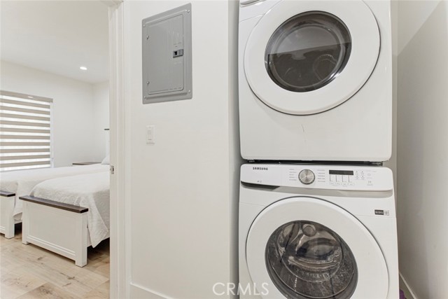 6206 Camellia photo 26