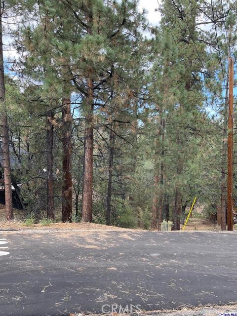 600 Travertine Road, Big Bear City, California 92314, ,Land,For Sale,600 Travertine Road,CRGD24038004