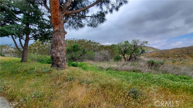 0 Rimford Drive Drive, Elizabeth Lake, California 93532, ,Land,For Sale,0 Rimford Drive Drive,CRSR23075504